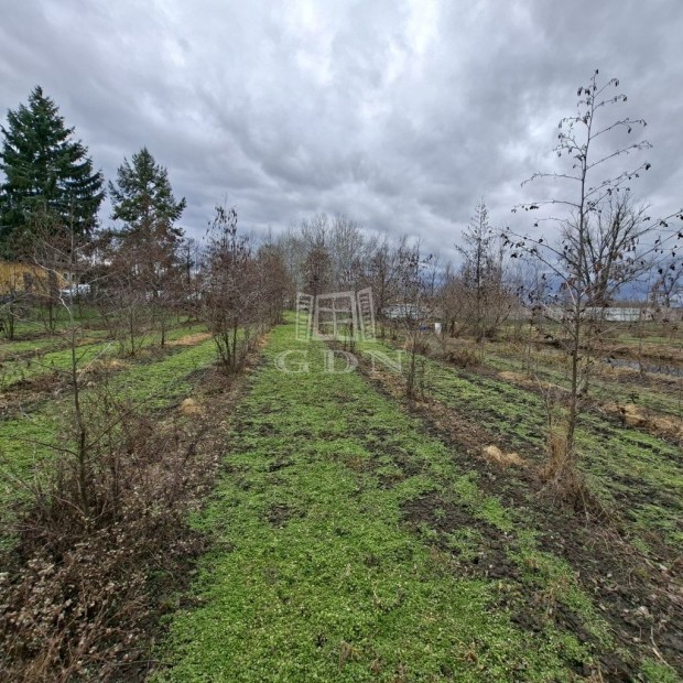 Elad� mez�gazdas�gi ter�let Nagyigm�nd, Bajcsy-Zsilinszky utca