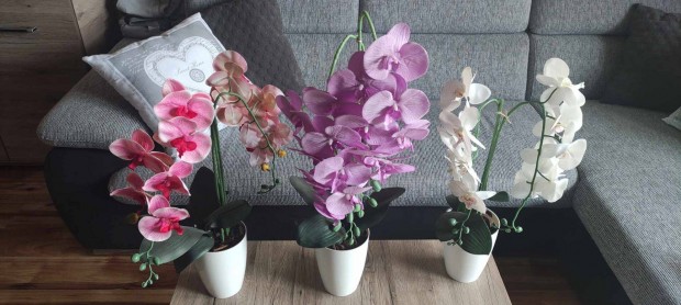 Elad manyag orchidek