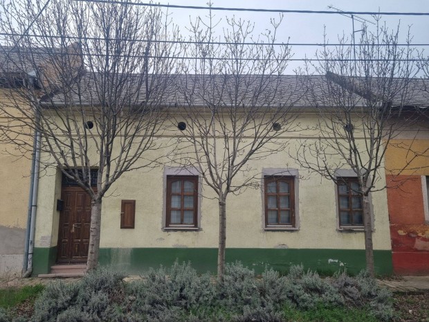 Elad� �n�ll� port�s h�z Kiskunf�legyh�za k�zpontj�ban J�kaiv�rosban