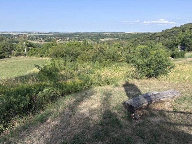 Elad pad szp panormval 