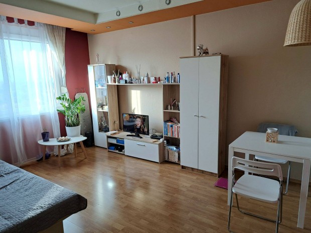 Elad� panel lak�s