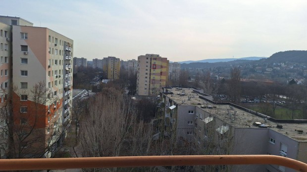 Elad� panel lak�s B�k�smegyeren