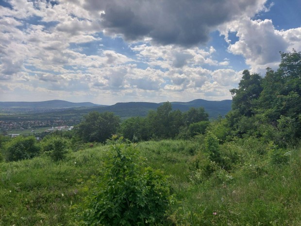 Elad panorms ptsi telek Szentendrn