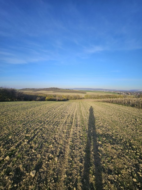 Elad panorms telek Krnyn, zld vezetben