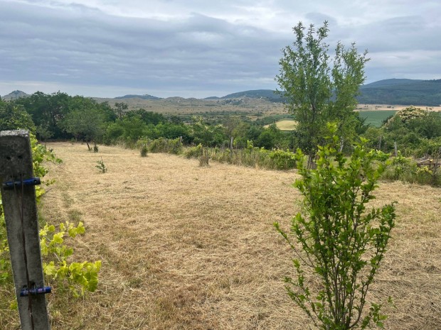 Elad� panor�m�s telek Zalahal�pon