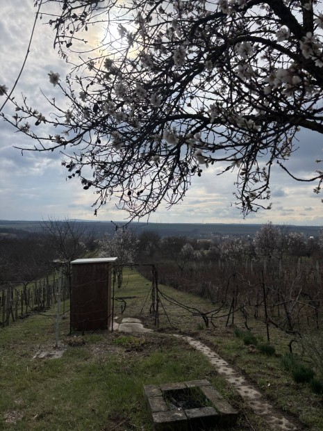 Elad� panor�m�s telek kis pr�sh�zzal, Gy�r� �reghegy tetej�n.