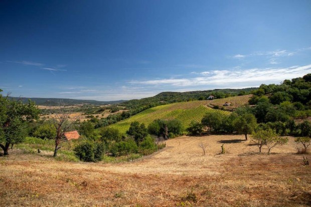 Elad panorms zrkerti telek a Csobnc lbnl