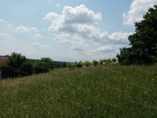 Elad panorms zrtkerti telek Igalban!