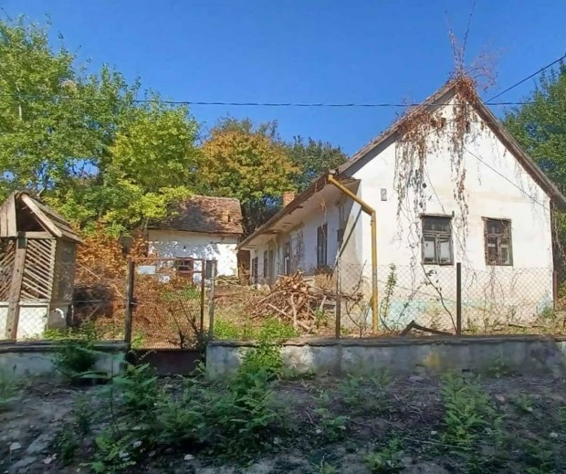 Elad� paraszth�z Fazekasbod�n