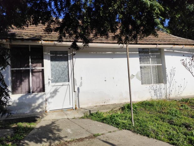 Elad� pici h�zik� a tavak v�ros�ban!