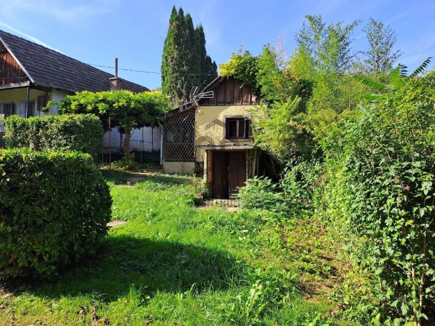 Elad� pince a Kerkatesk�ndi hegyen!