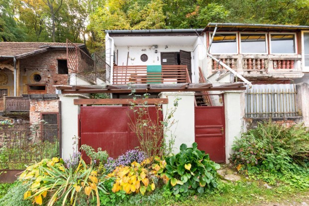 Elad prshz s borospince Nagy Avas fels soron!