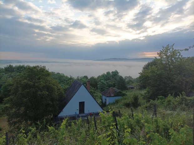 Elad prshz s panorms telek a ssdi szlhegyen