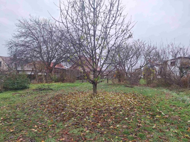 Elad� r�szben k�zm�ves�tett telek Igalban!