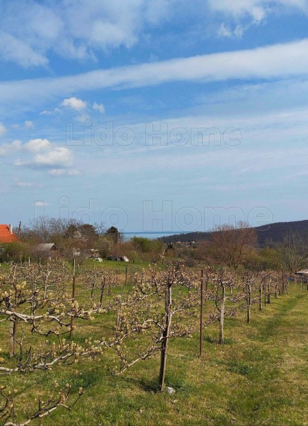 Elad rszpanorms nyaralhz, hatalmas telekkel Balatonalmdiban