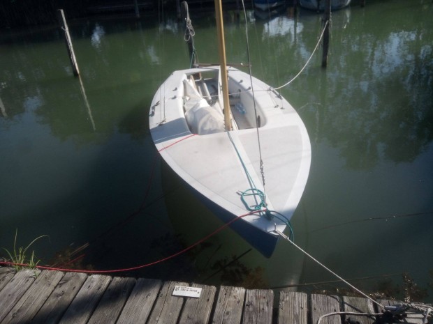 Elad ritka kisvitorls