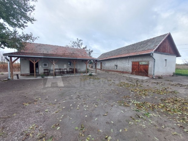 Elad� r�szkei tanya, sz�l�gazdas�ggal!