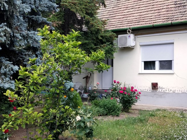 Elad� sorh�z, Szolnok