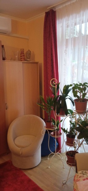 Elad� sorh�z az �nt�z�tt r�ten