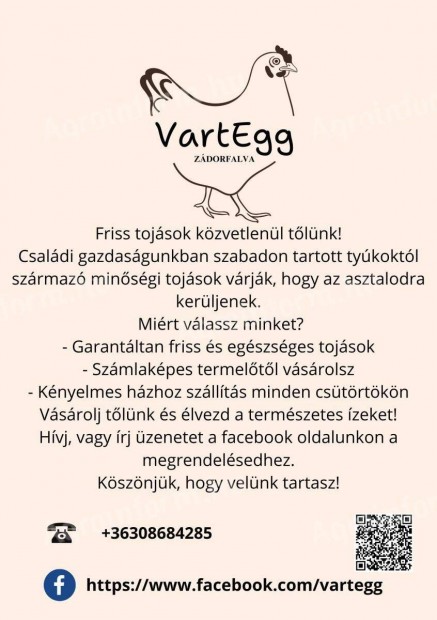 Eladó szabadtartásból származó étkezési tojás termelőtől