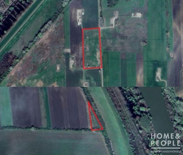 Elad� sz�nt� Szegeden!