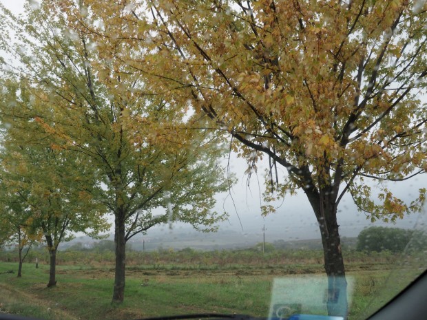 Elad� sz�nt�, Fels�t�rk�ny