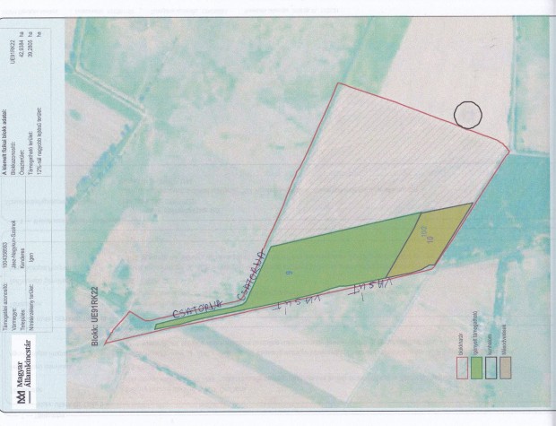 Elad� sz�nt�f�ld