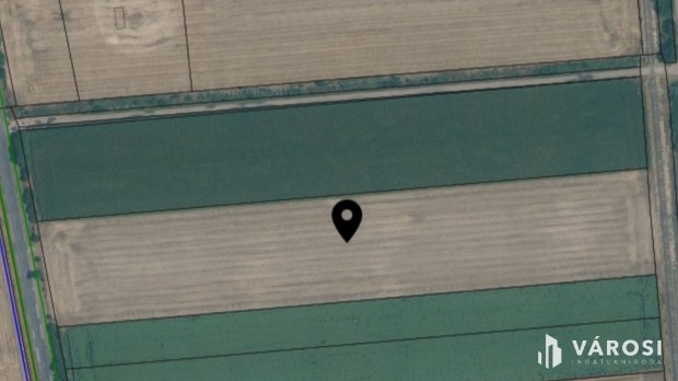 Elad� sz�nt�f�ld Orosh�za k�zel�ben