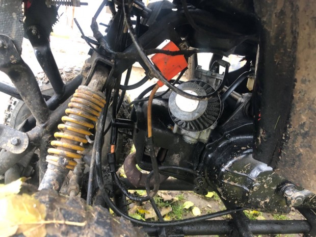 Elad szeretett Qvadom