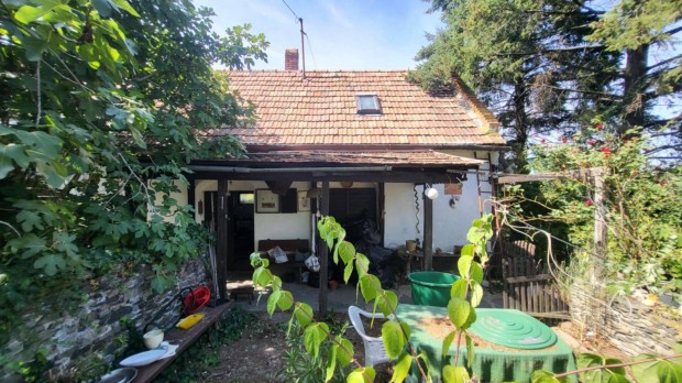 Elad� t�jpanor�m�s nyaral� �s pince Kisap�tiban!