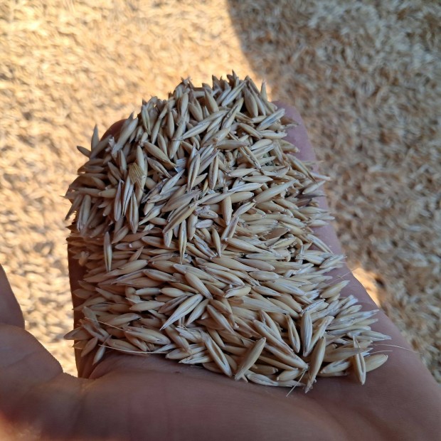 Elad� takarm�ny zab