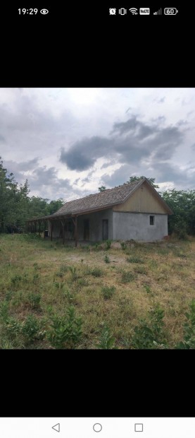 Elad� tanya B�cs-Kiskun