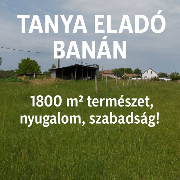 Eladó tanya Banán Bábolnához közel, csendes zsákutca végén