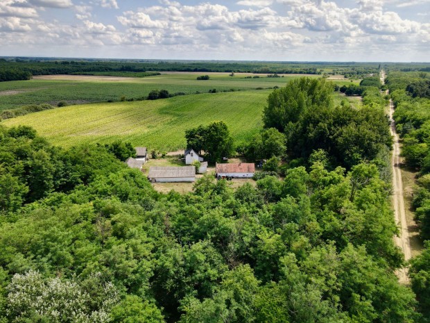 Eladó tanya Debrecen Dombos
