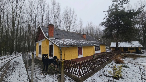 Elad� tanya J�szber�ny-Portelken az erd� k�zep�n, szomsz�dok n�lk�l!