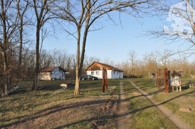 Elad� tanya Ny�rl�rincen.