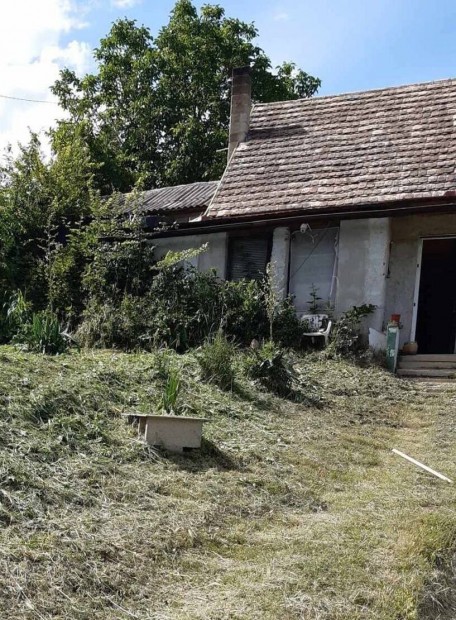 Elad� tanya Szeksz�rdon