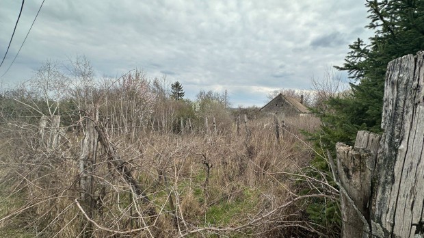 Elad� tanya, gy�m�lcs�s V�rdombon az 56-os �t mellett