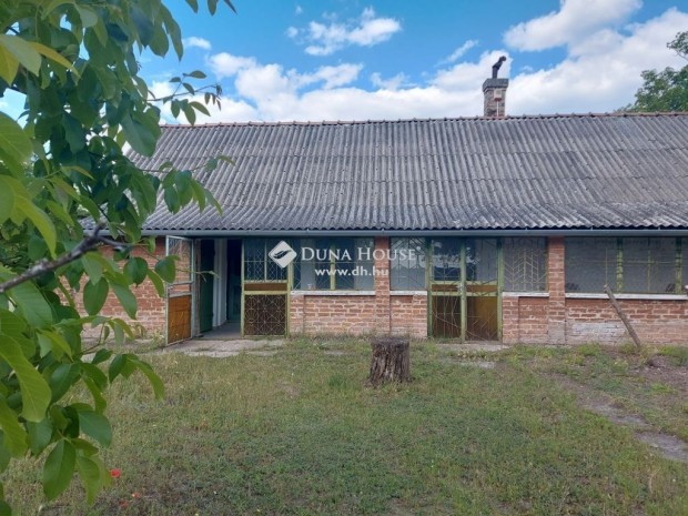 Eladó tanya és szilvafa ültetvény Izsák Gedeon dűlőben