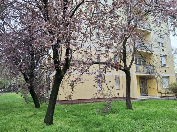 Elad� t�glalak�s, Szolnok