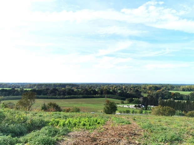 Elad� telek Als��jlak, ALS��JLAKON ELAD�  3ha TER�LET!!!