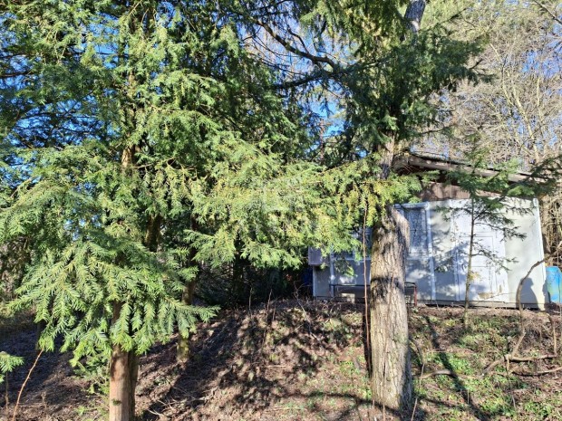 Elad� telek Budakeszi, Csillag utca