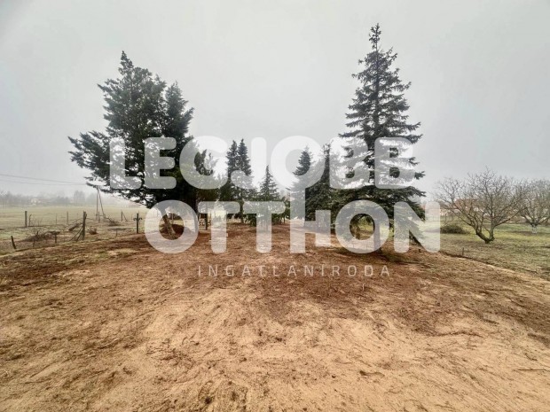 Elad� telek Cegl�den az �regsz�l�ben