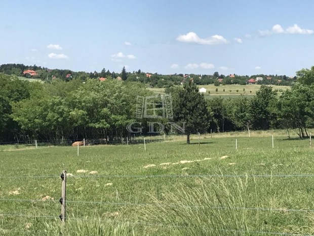 Elad telek Cserszegtomaj, Cska-K patak mellett