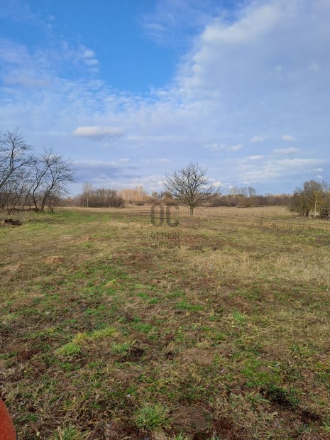 Elad� telek Debrecen  Bellegel�kertben!