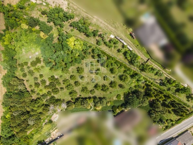 Elad� telek Iklad, Z�ld�vezeti r�sz�n