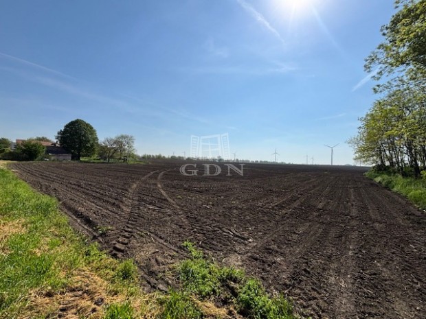 Elad� telek Kisigm�nd, D�zsa Gy�rgy �t