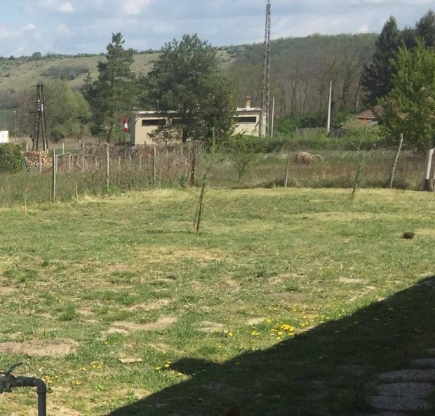 Elad telek Vcduka 2753nm
