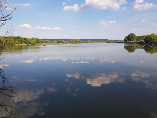 Elad telek, Balatonboglr