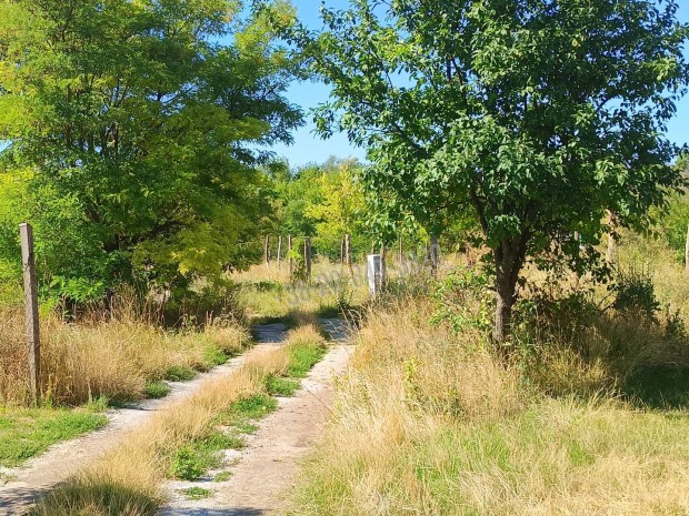 Elad� telek, Balatonf�red Belv�ros, 112000000 Ft, 2764 nm 36233_v